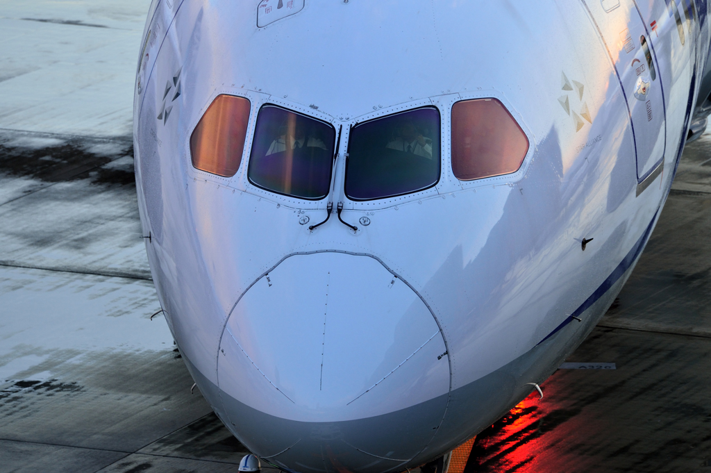 Face