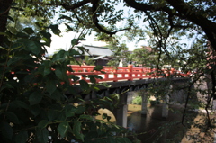 高山赤橋