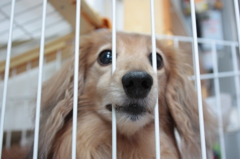 そんなに見つめないで