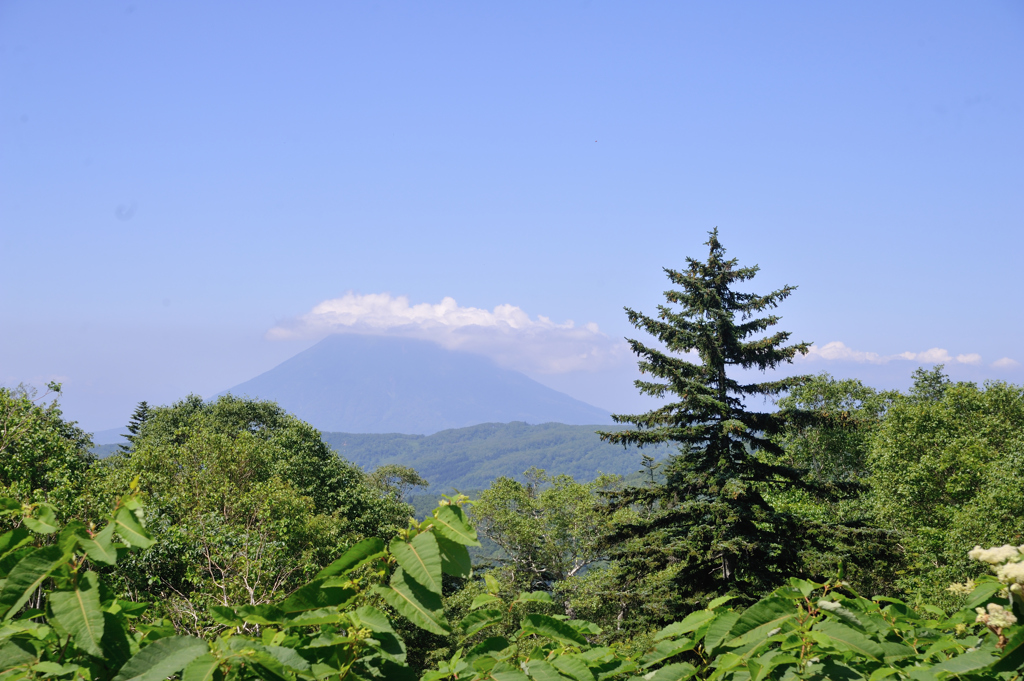 夏の羊蹄山