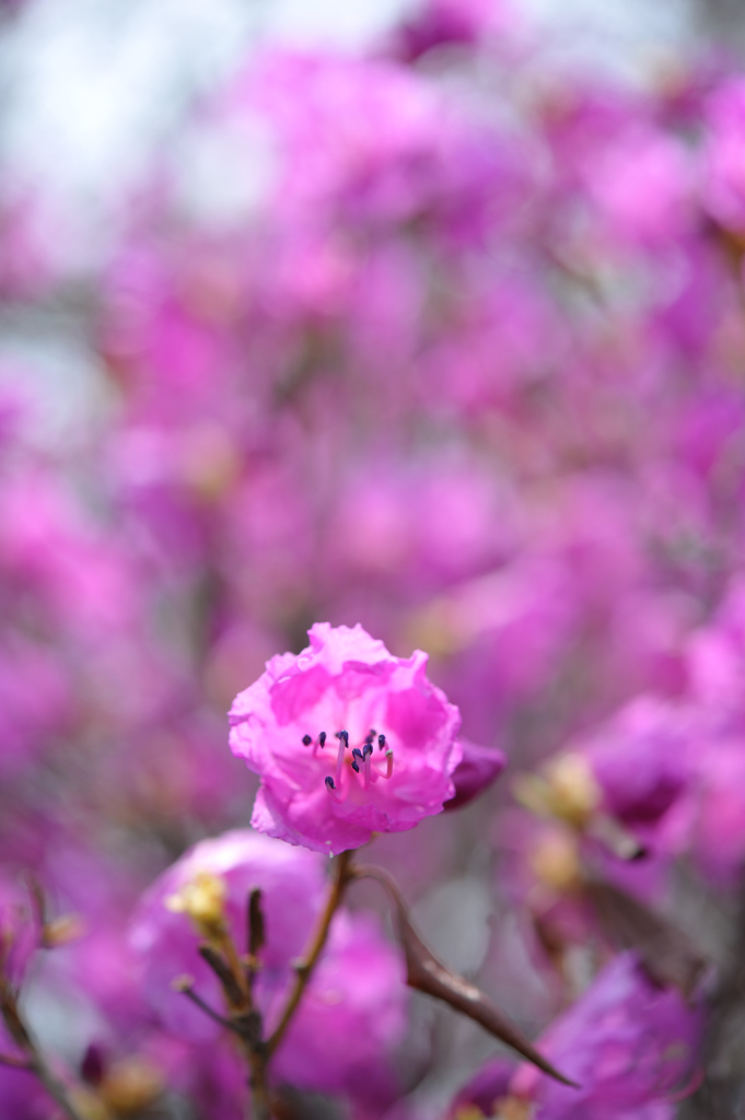 +補正で・・・