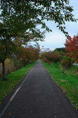 遊歩道