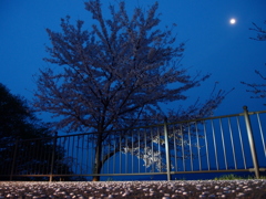 P4120330