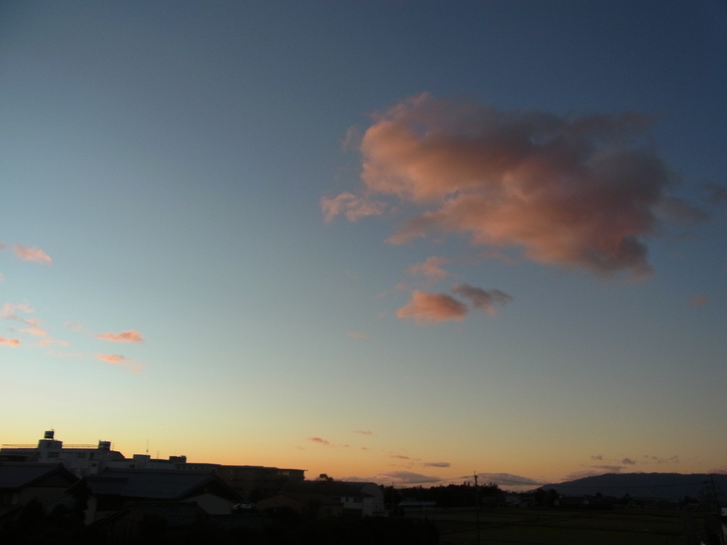 RIMG0558