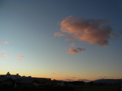 RIMG0558