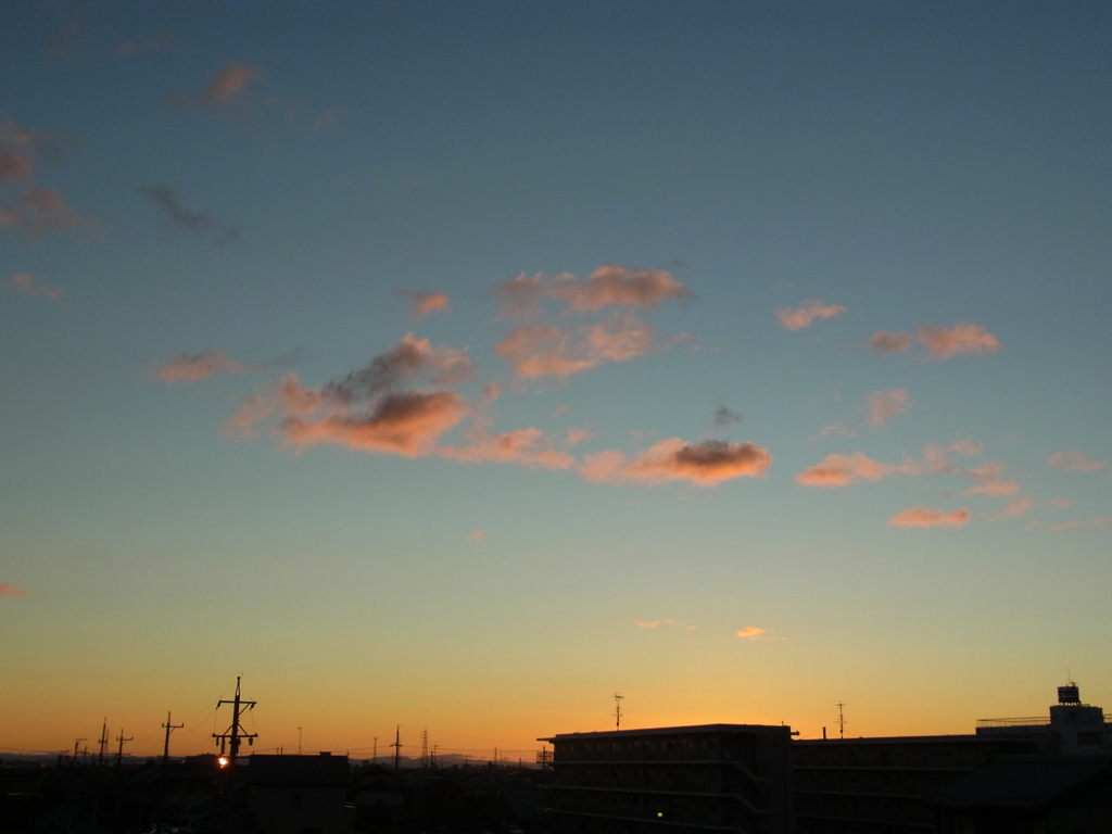RIMG0559