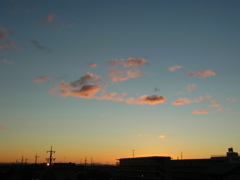 RIMG0559