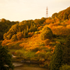 花フェスタ記念公園からの山景色