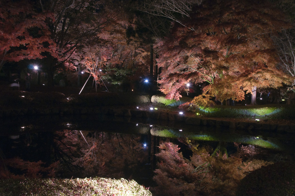 曽木公園その五