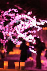 弘前　雪灯篭祭り４