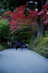 中尊寺参道