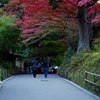 中尊寺参道