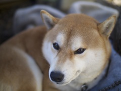 三郎