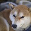 三郎