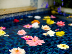 花プール