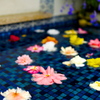 花プール