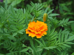 P9020216