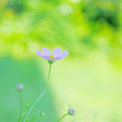 P9070500