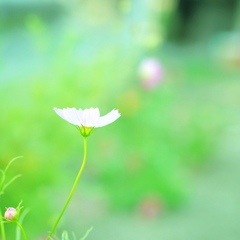 P9070496