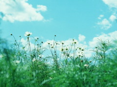 FH000013
