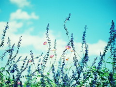 FH000007