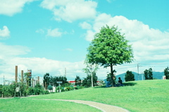 FH000008