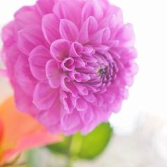 P1253111