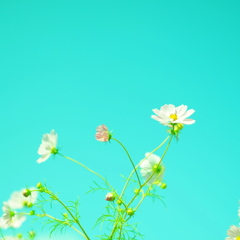 P9220837
