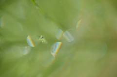 DSC_1576
