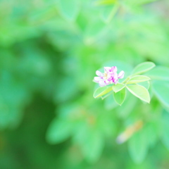 P9070492