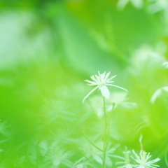 P9070505