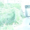 君とぼく