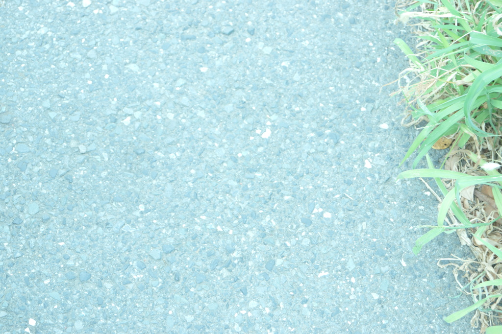 家路