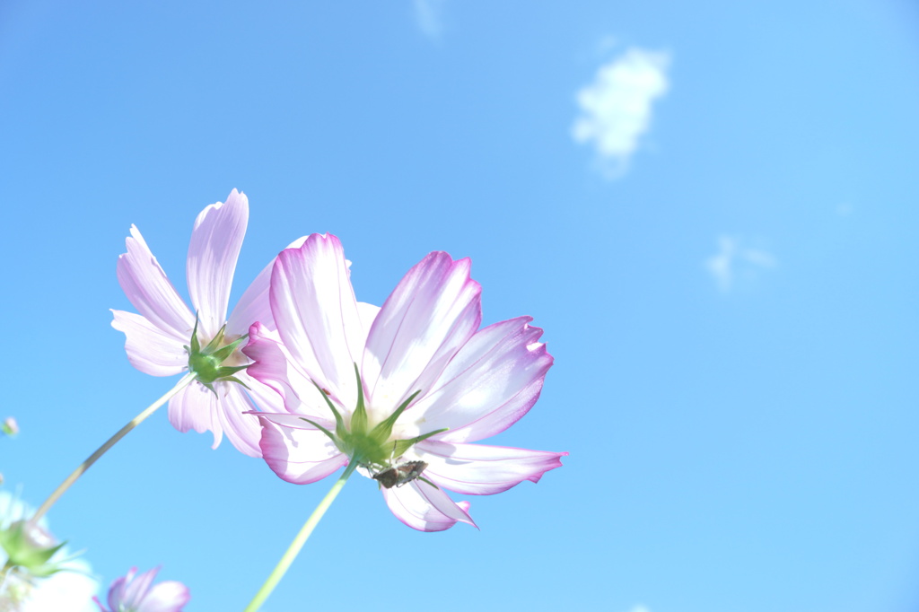 君を待つ間に