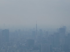 東京タワー