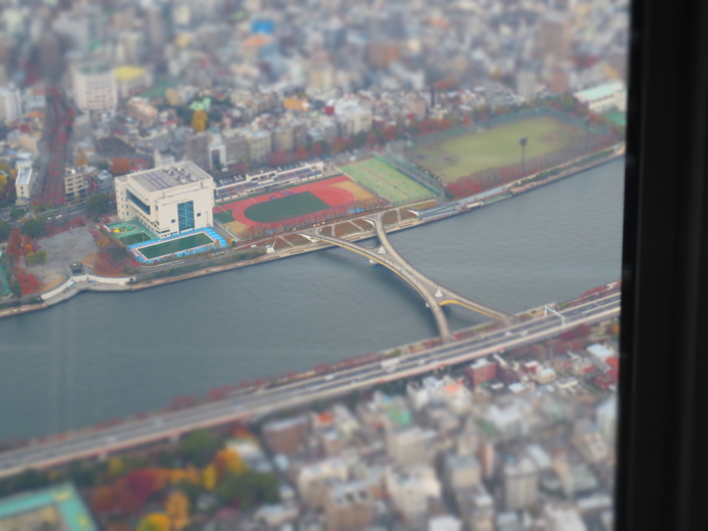 橋