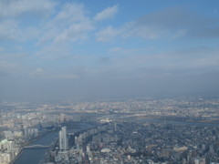 東京ビュウ