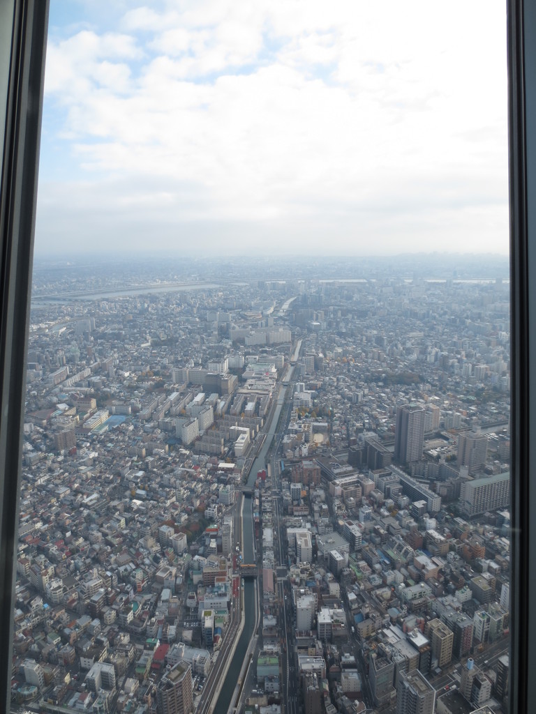 絶景かな