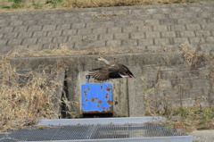 必死な姿が愛おしい。