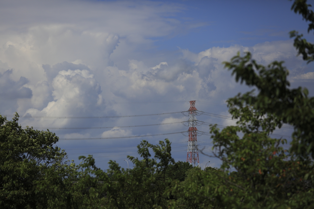 雲と鉄塔と木々