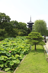 東寺五重塔