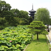 東寺五重塔