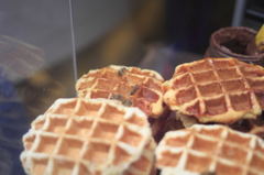 ハチミツにハチ