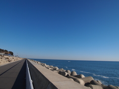 朝方の海