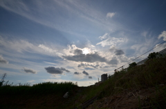 雲