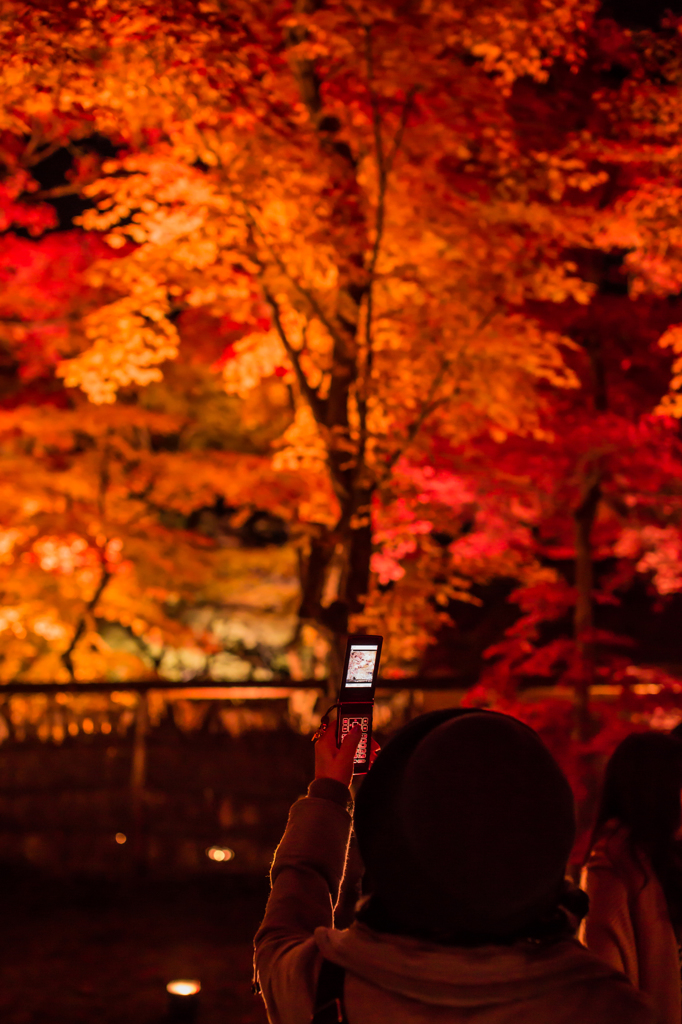 綺麗に写るかな～