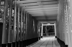 鳥居・鳥居・鳥居