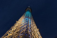 空の木