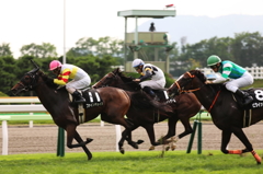 函館競馬