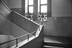 国立科学博物館の階段